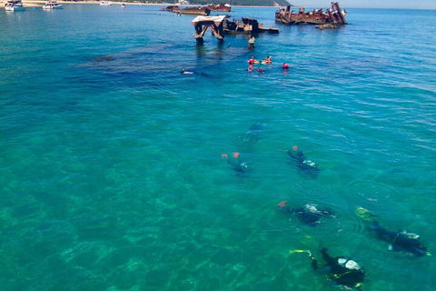 Adventure Moreton Island Scuba Dive Tour - Port Augusta Accommodation 0