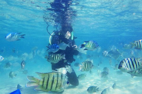 Adventure Moreton Island Scuba Dive Tour - Port Augusta Accommodation 1