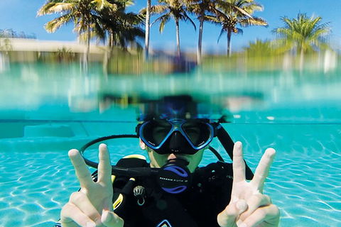 Adventure Moreton Island Scuba Dive Tour - Port Augusta Accommodation 2