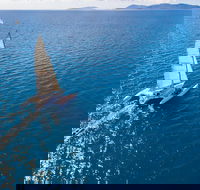 2-Night Whitsunday Islands Sailing Adventure on Trimaran Avatar - Port Augusta Accommodation