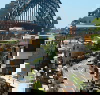 Big Bus Sydney and Bondi Hop-on Hop-off Tour