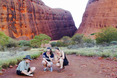Afternoon Kata Tjuta Small Group Tour - Port Augusta Accommodation 2