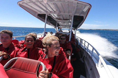 Adventure Rottnest Tour With Ferry & Adventure Cruise From Perth Or Fremantle - Port Augusta Accommodation 0