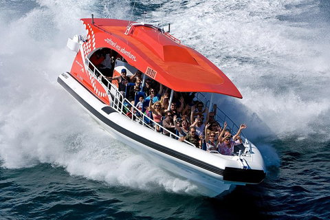 Adventure Rottnest Tour With Ferry & Adventure Cruise From Perth Or Fremantle - Port Augusta Accommodation 2