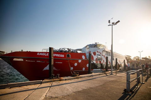 Rottnest Island Round-Trip Ferry From Perth Or Fremantle - Port Augusta Accommodation 2