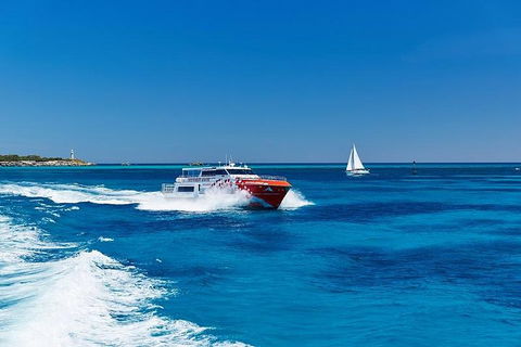 Rottnest Island Round-Trip Ferry From Perth Or Fremantle - Port Augusta Accommodation 4