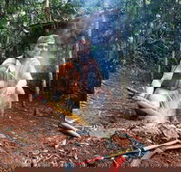 Kuranda Highlights including Rainforestation Aboriginal Culture and Wildlife - Port Augusta Accommodation