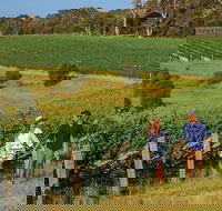 10 Day Perth to Adelaide Private Tour - The Great Australian Wilderness Journey - Port Augusta Accommodation