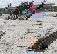 Kangaroo Island in a Day Tour from Adelaide - Port Augusta Accommodation