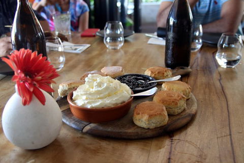 Small-Group Afternoon Cairns City Tour With Harbour Dinner Cruise - Port Augusta Accommodation 3