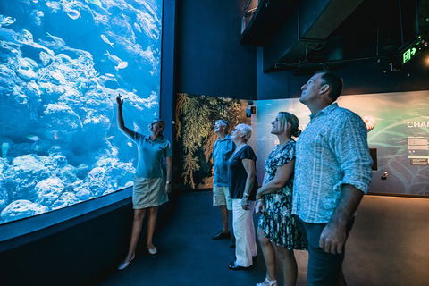 Cairns Aquarium By Twilight With 3-Course Dinner - Port Augusta Accommodation 1