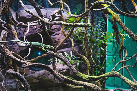 Cairns Aquarium By Twilight With 3-Course Dinner - Port Augusta Accommodation 2