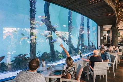 Cairns Aquarium By Twilight With 3-Course Dinner - Port Augusta Accommodation 4