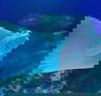 Cairns Aquarium Family Ticket - Port Augusta Accommodation