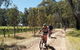 McLaren Vale Wine Tour By Bike - thumb 1