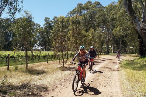 McLaren Vale Wine Tour By Bike - Port Augusta Accommodation 1