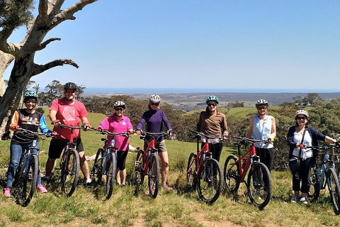 McLaren Vale Wine Tour By Bike - Port Augusta Accommodation 2
