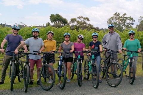 McLaren Vale Wine Tour By Bike - Port Augusta Accommodation 4