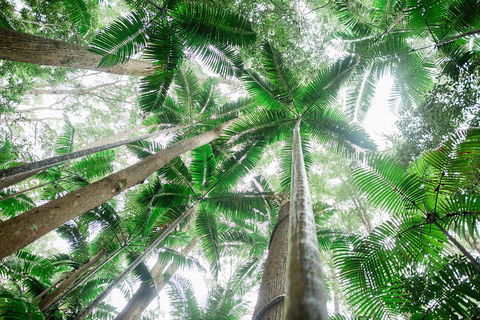 Fraser Explorer K'gari 2-Day Tour - Port Augusta Accommodation 2