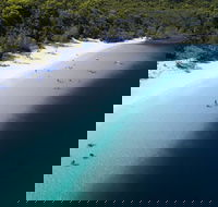 All-Inclusive Fraser Island Day Tour - Port Augusta Accommodation
