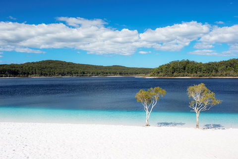 All-Inclusive Fraser Island Day Tour - Port Augusta Accommodation 3
