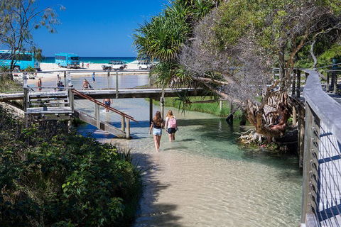 All-Inclusive Fraser Island Day Tour - Port Augusta Accommodation 4