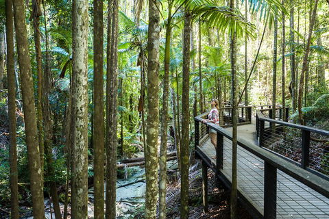 All-Inclusive Fraser Island Day Tour - Port Augusta Accommodation 5