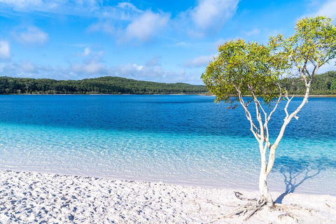 Lake McKenzie Full-Day Tour With Lunch From Hervey Bay - Port Augusta Accommodation 1