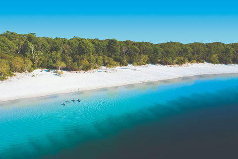 Lake McKenzie Full-Day Tour With Lunch From Hervey Bay - Port Augusta Accommodation 4