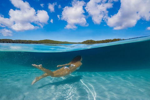 Lake McKenzie Full-Day Tour With Lunch From Hervey Bay - Port Augusta Accommodation 5