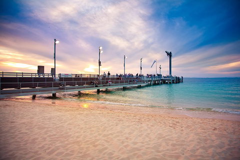 Tangalooma Island Resort Whale Watching Day Cruise With Dolphin Viewing - Port Augusta Accommodation 3