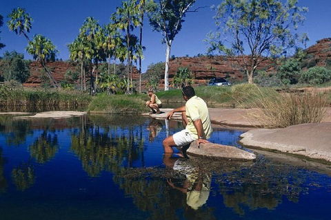 Palm Valley 4WD Day Tour - Port Augusta Accommodation 1