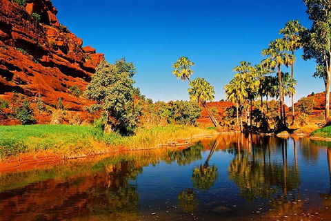 Palm Valley 4WD Day Tour - Port Augusta Accommodation 2