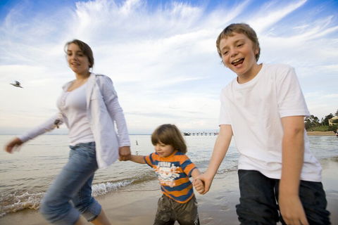 Phillip Island Penguin And Koala Highlights Day-Trip From Melbourne - Port Augusta Accommodation 0