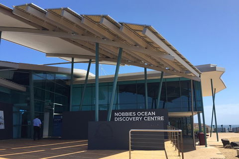 Phillip Island Penguin And Koala Highlights Day-Trip From Melbourne - Port Augusta Accommodation 1