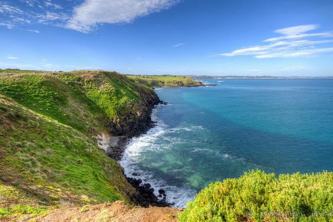 Phillip Island Penguin And Koala Highlights Day-Trip From Melbourne - Port Augusta Accommodation 5