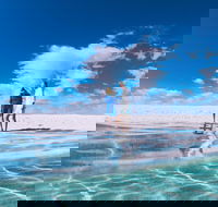 4-Day Coastal Loop via Monkey Mia Wild Dolphins Kalbarri Pinnacles Perth Return - Port Augusta Accommodation