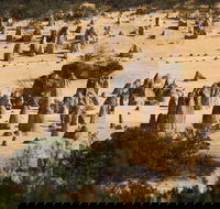 Pinnacles Sunset Dinner and Stargazing Experience a Small Group Tour - Port Augusta Accommodation