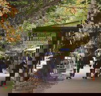 Adelaide Highlights Hahndorf  McLaren Vale Wine Tasting and Sightseeing Tour - Port Augusta Accommodation