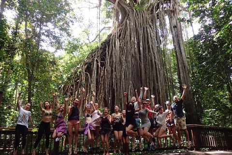 Atherton Tablelands Waterfalls Tour From Cairns - Port Augusta Accommodation 5