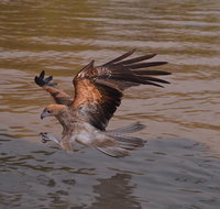 Litchfield and Jumping Crocodiles Full Day Trip from Darwin - Port Augusta Accommodation