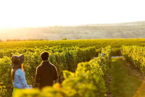 Margaret River Private Tour - Port Augusta Accommodation 2