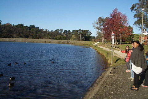 PRIVATE All-Day Blue Mountains Tour With Professional Guide For Up To 4 People - Port Augusta Accommodation 2