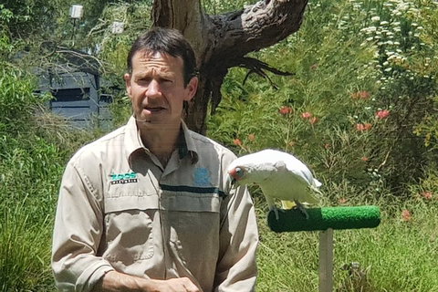 Healesville Sanctuary And Rayners Orchard Tour From Melbourne - Port Augusta Accommodation 0
