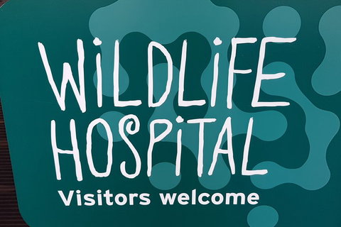 Healesville Sanctuary And Rayners Orchard Tour From Melbourne - Port Augusta Accommodation 1