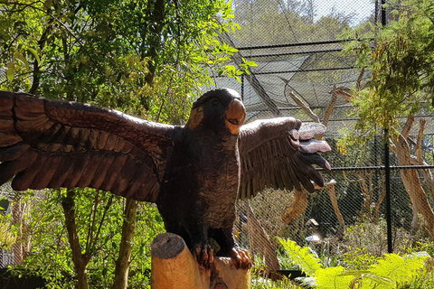 Healesville Sanctuary And Rayners Orchard Tour From Melbourne - Port Augusta Accommodation 2