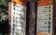 Healesville Sanctuary And Rayners Orchard Tour From Melbourne - thumb 3