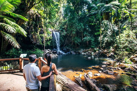 Aquaduck & Your Choice Of Gold Coast Rainforest Tour - Port Augusta Accommodation 0