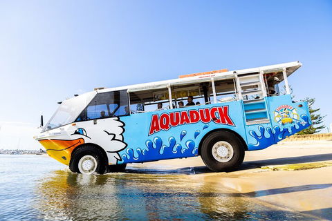 Aquaduck & Your Choice Of Gold Coast Rainforest Tour - Port Augusta Accommodation 3
