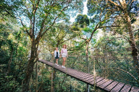 Aquaduck & Your Choice Of Gold Coast Rainforest Tour - Port Augusta Accommodation 4